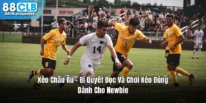 Kèo Châu Âu - Bí Quyết Đọc Và Chơi Kèo Đúng Cho Người Mới