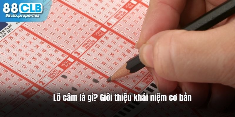 Tìm hiểu về khái niệm lô câm là gì