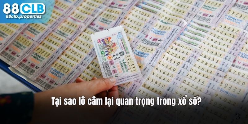 Lô câm rất quan trọng trong cược xổ số